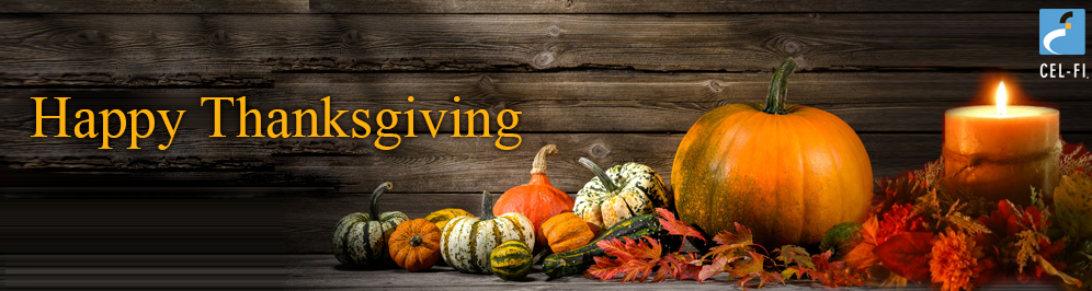 banner_2015-Thanksgiving_996x266_v2